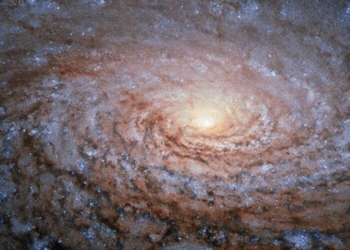 туманность конская голова (barnard 33). настоящие звезды из космоса. космос фон. граффити. фон для аватарки.