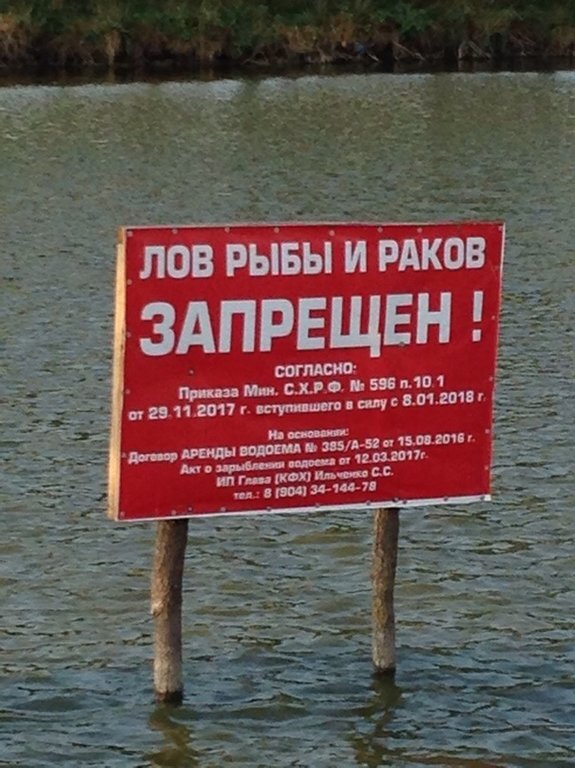 Нерестовый запрет на Москва-реке: даты, правила и последствия