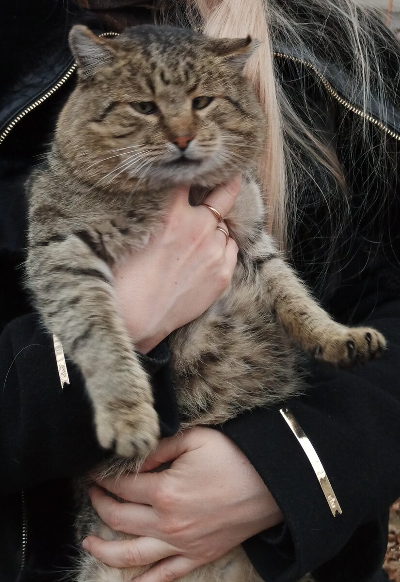 Наш любимый Симбочка.