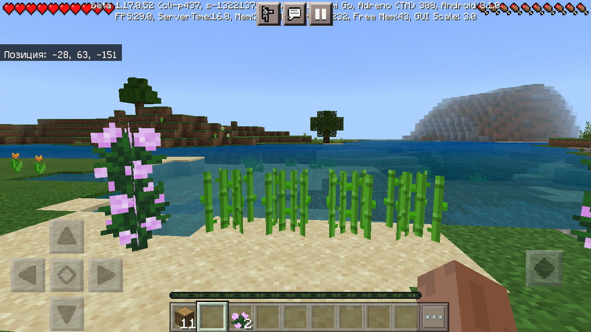 Мой тростник