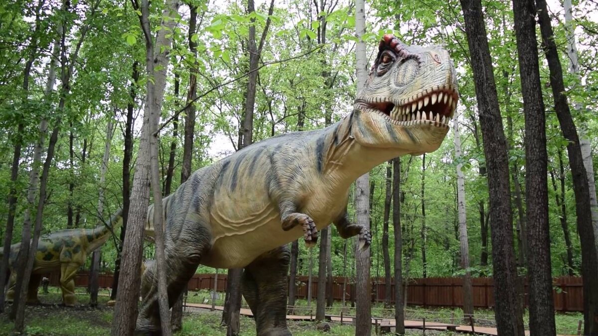 Изображение из открытых источников информации