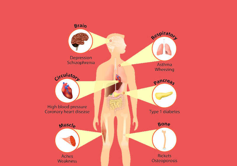 фото с яндекса