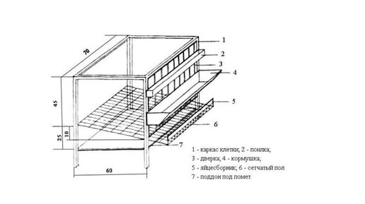 Как смастерить клетку для бройлеров самостоятельно?