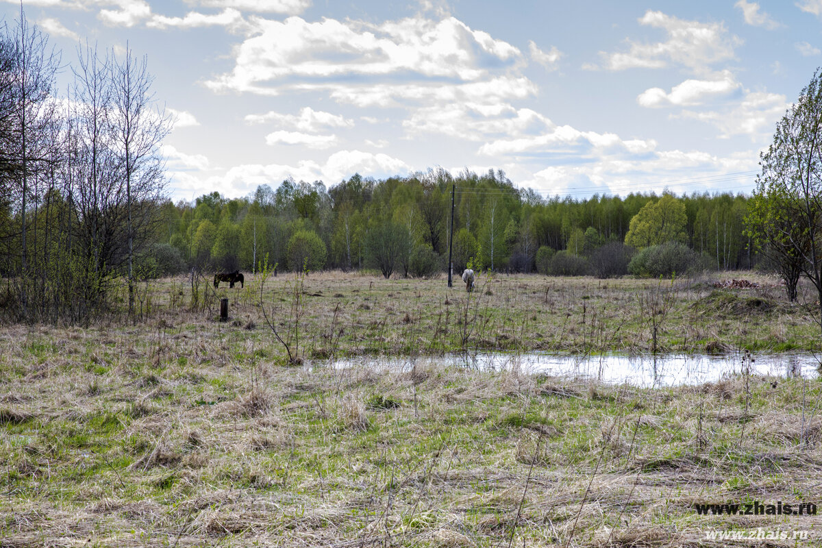 Усадьба Перво Рязанская область