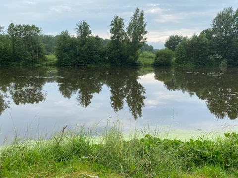 Фото автора. 