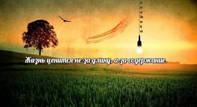 Коллекционируй цитаты, которые тебя вдохновляют. | Аникуан Алфер | Дзен