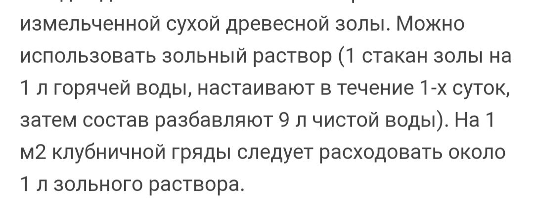 Получаем богатый и сочный урожай клубники! Полезные советы