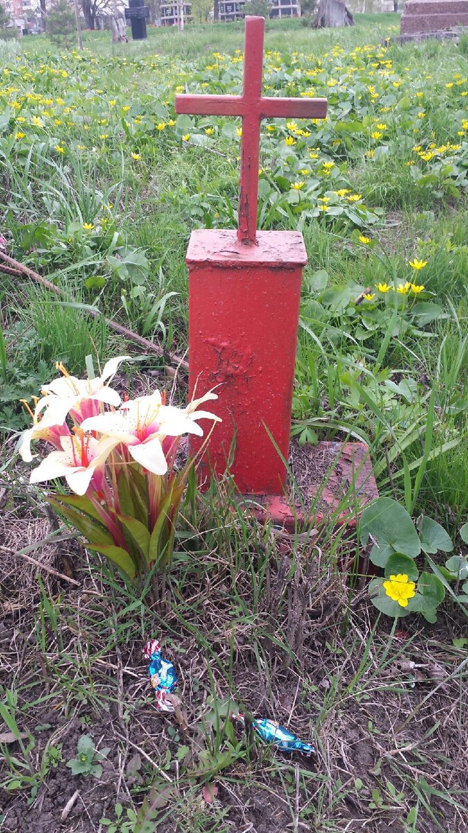 ПАМЯТЬ НА СТАРОМ БЕЛГОРОДСКОМ КЛАДБИЩЕ. ЗЕЛЕНАЯ ТРАВА, БЕЛЫЙ КРЕСТ И  КРАСНЫЙ КИРПИЧ. Сегодня Радоница, день поминовения усопших. | Андрей Токов  | Дзен