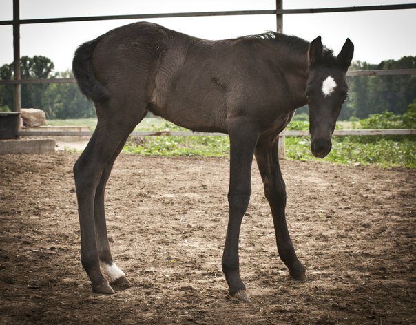 Нам 3 месяца