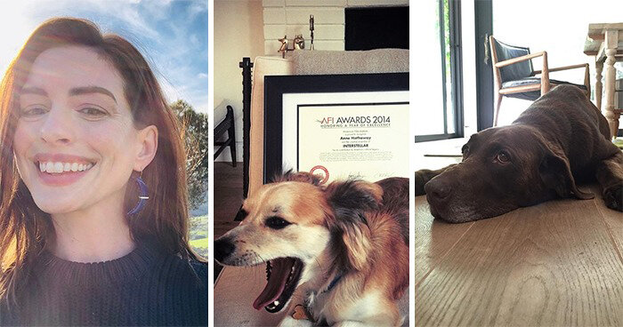 Энн Хэтэуэй, Кеноби и Эсмеральда.