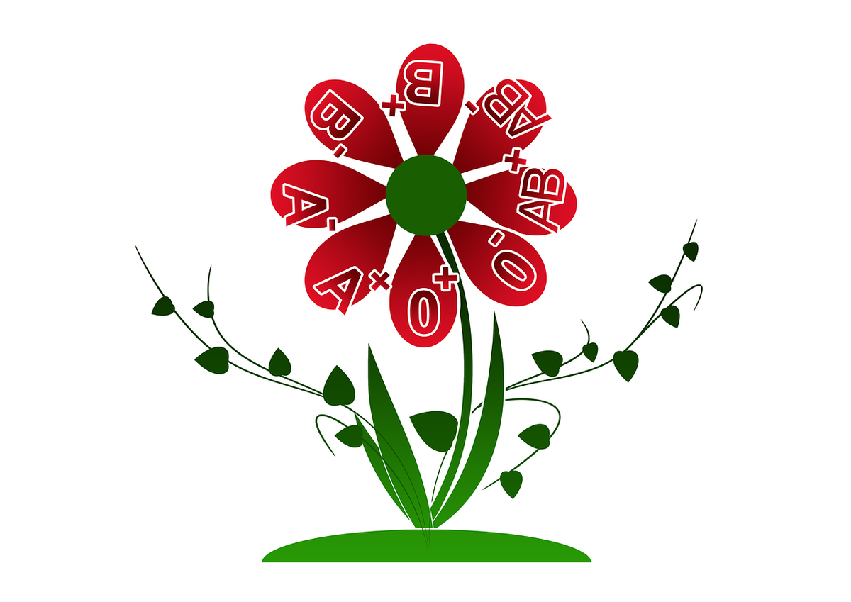 Фото Pixabay.com