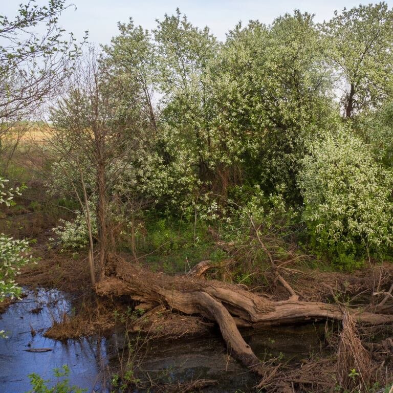 Фото Евгений Аксёнов