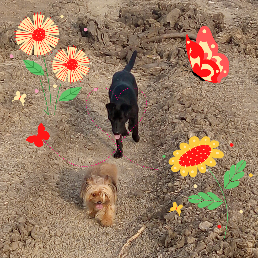 такого размера жених был, только рыжий