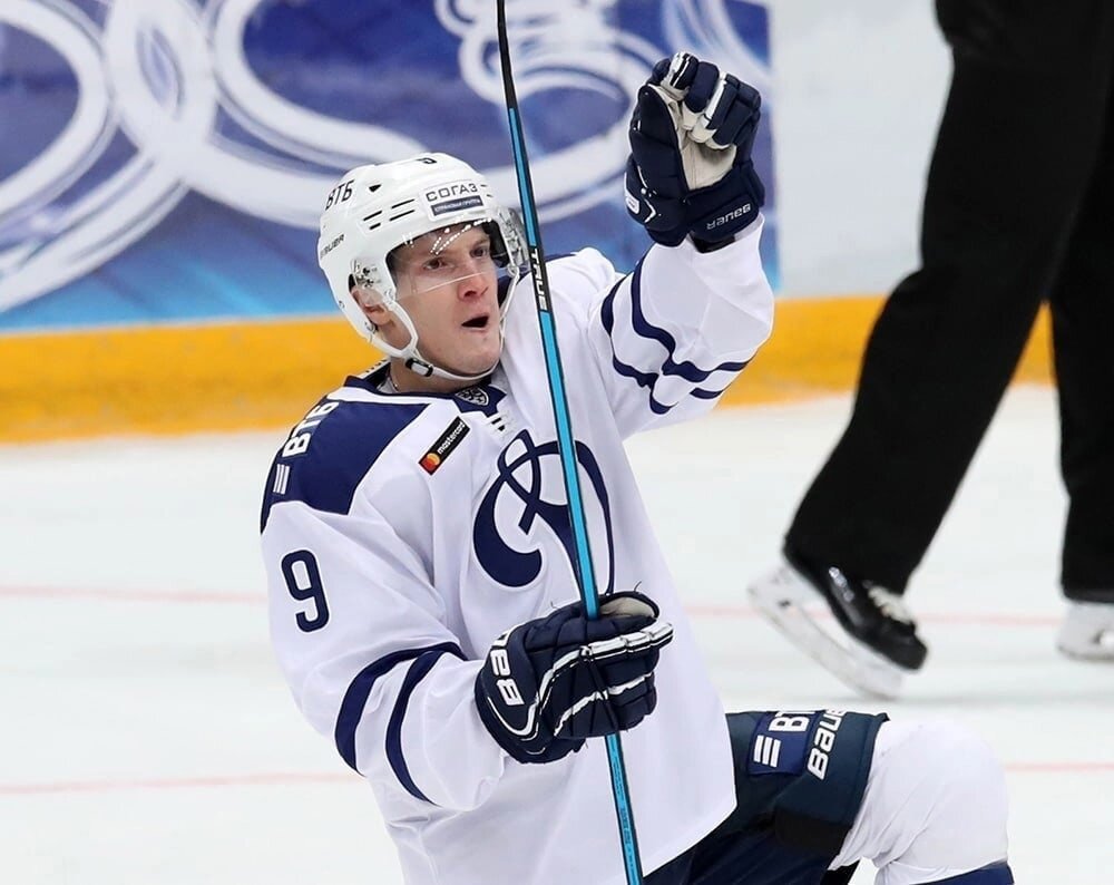 Дмитрий Кагарлицкий