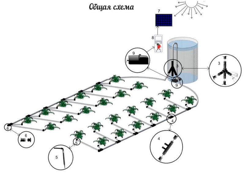 Схема капельного полива