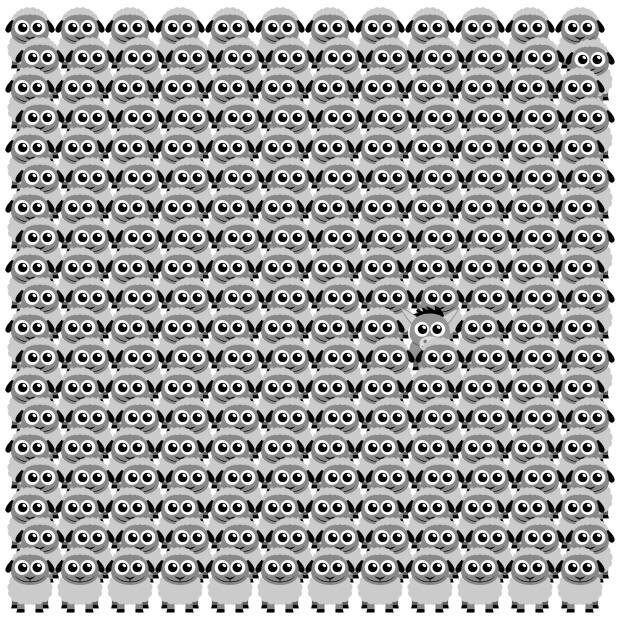 Кто-то спрятался среди барашков - сможете его найти и опознать?