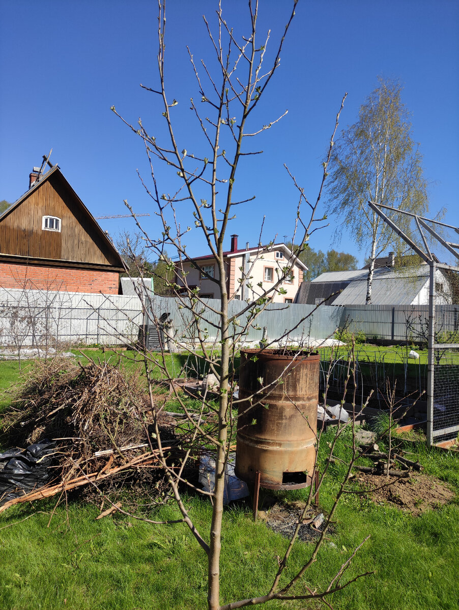 Любимая бочка пойдет "в расход" 