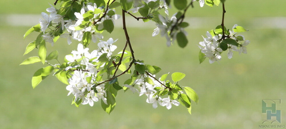 Фото Марии Козловой