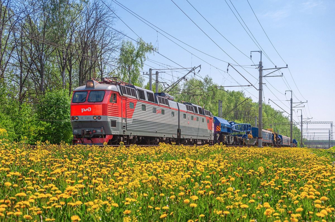 Фото: Vitaly Amtrakov