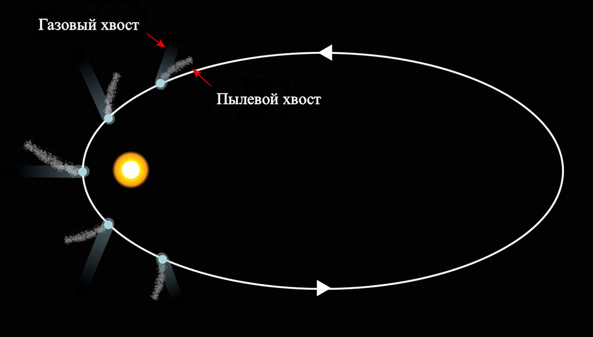Когда комета приближается к Солнцу, часто можно увидеть два независимых хвоста: пылевой хвост, состоящий из частиц серого цвета, и газовый (ионный) хвост, который имеет голубоватое свечение. Пылевой хвост всегда изогнут, а ионный хвост направлен только прямо от Солнца. Фото: Wikimedia Commons