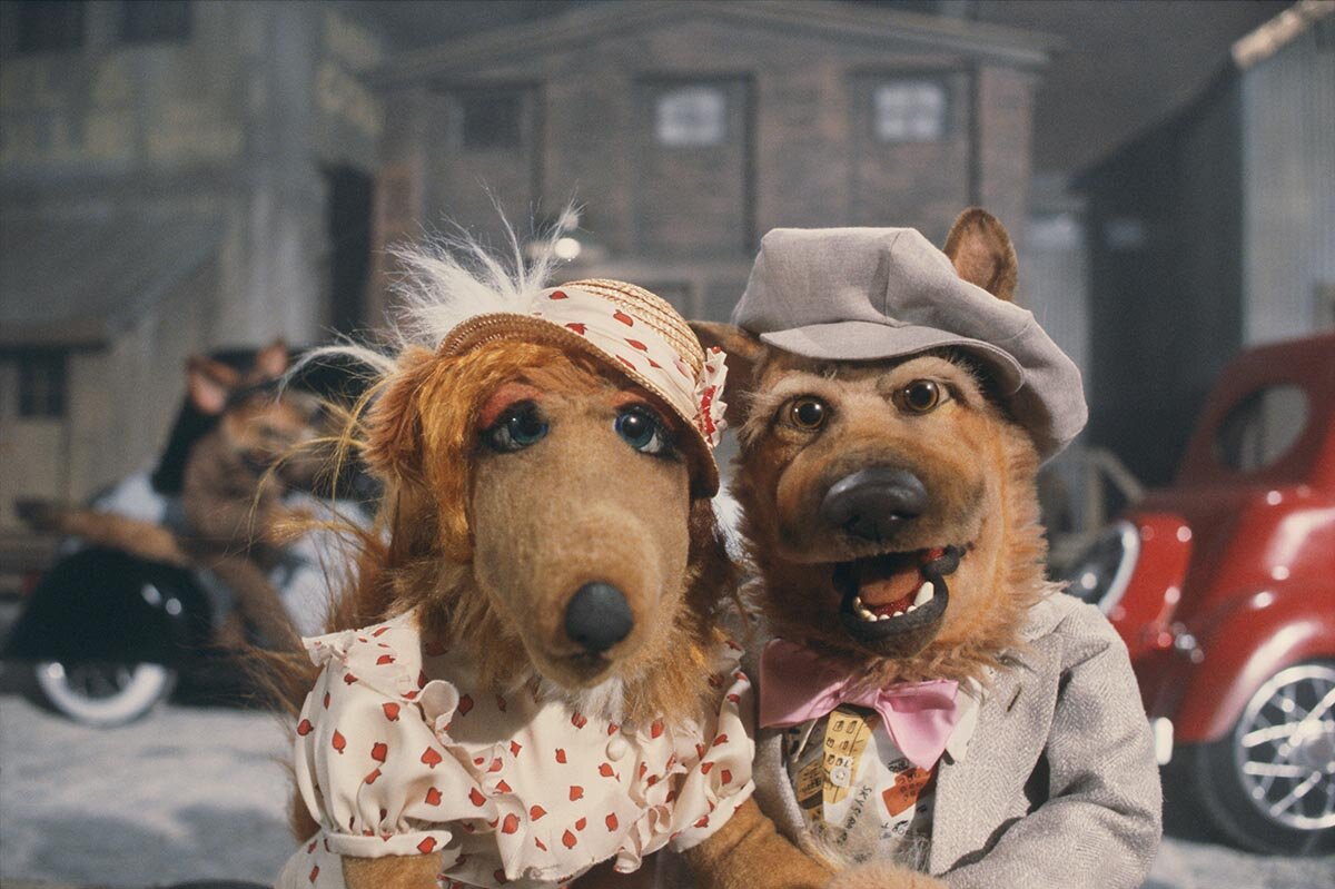 книга "город и псы" - марио варгас льоса. город и псы. управляемая городская собака. город и псы. романа марио варгаса льосы город и псы.