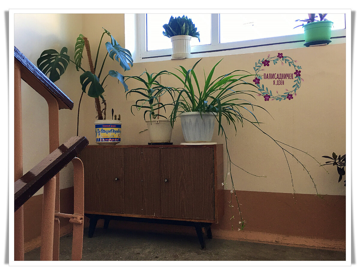 Общий план 1. Листайте, пожалуйста. ⏩⏩