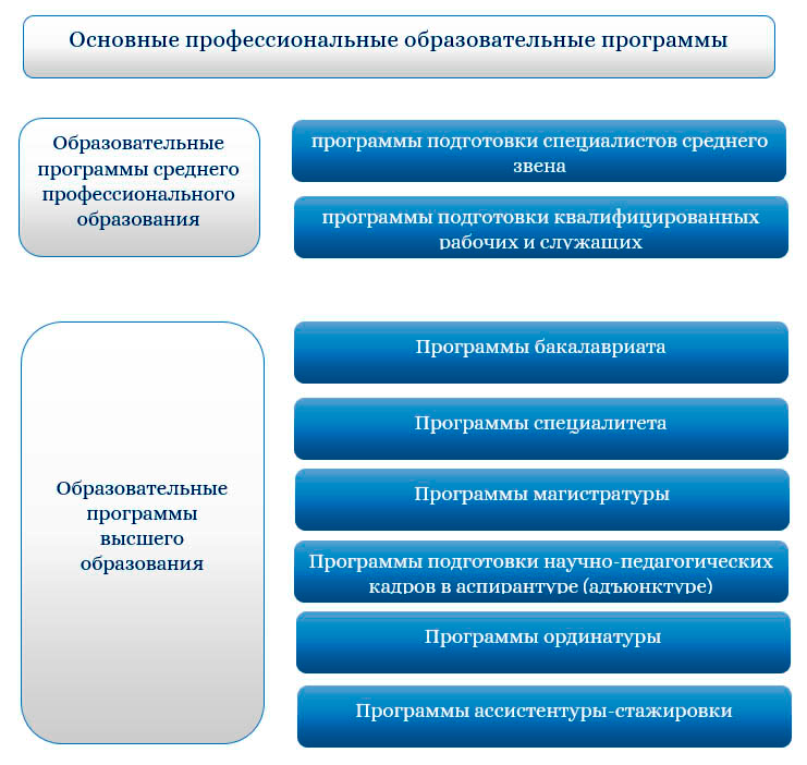 Образовательная программа специальность