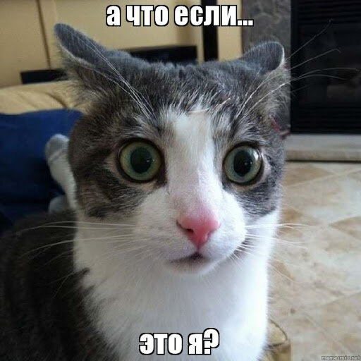 Вот такое приблизительно у меня было лицо, когда я поняла, кто эта тетка