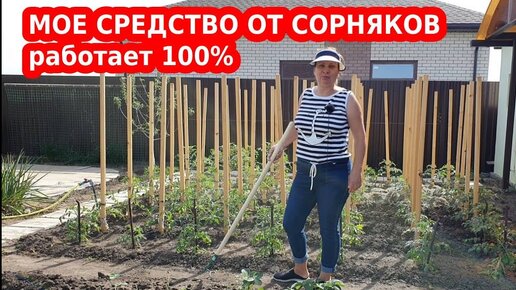 2 самых надежных средства от сорняков