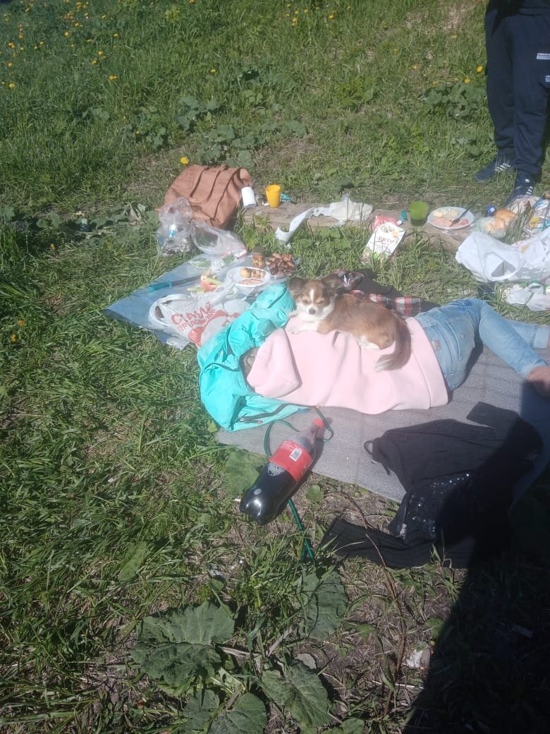 Диана играет в телефон