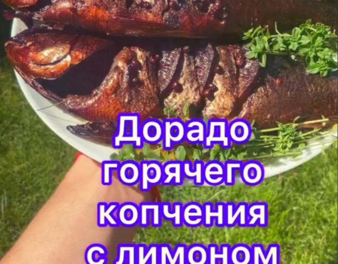 Дорадо горячего копчения