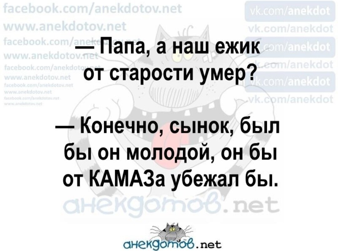 Фото взято из Яндекс. Картинок.