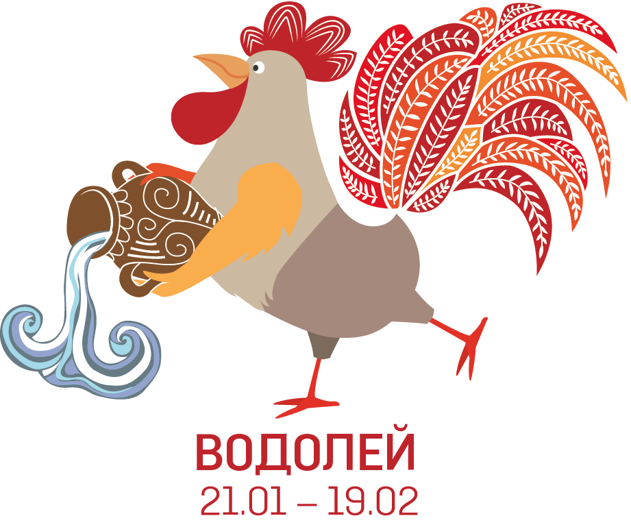 Водолей петух женщина характеристика. Водолей петух. Знак зодиака Водолей петух. Водолей в год петуха. Год петуха Водолей мужчина.