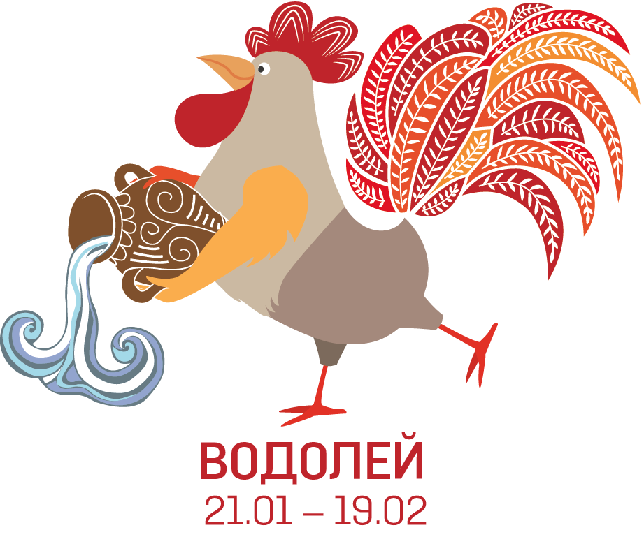 Водолей петух. Год петуха Водолей. Водолей петух женщина. Женщина Водолей в год петуха. Годы зодиака петуха