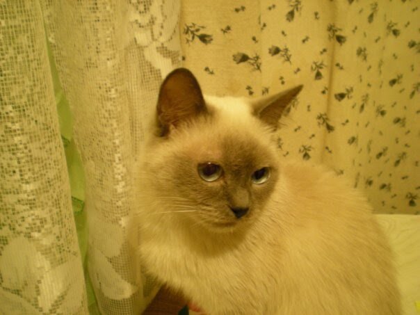 Фото из моего личного архива 