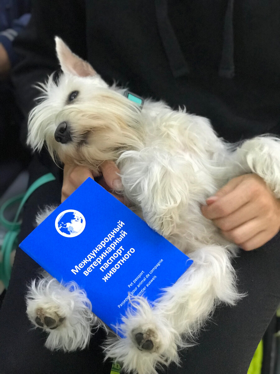 Ждем в накопителе☺️