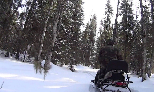 Фото из интернета.