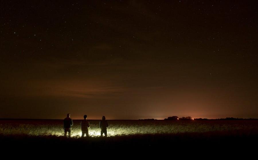 Фото: pexels.com