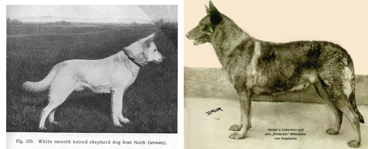 Грайф и Хоран фон Графрат. Фото: https://clck.ru/XxK7F, https://clck.ru/Xx9qH