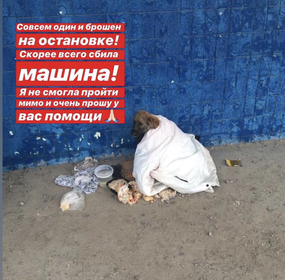 Ника на остановке 