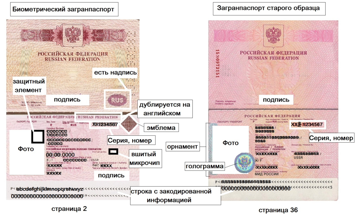 2. Типы и виды заграничных паспортов в Российской Федерации