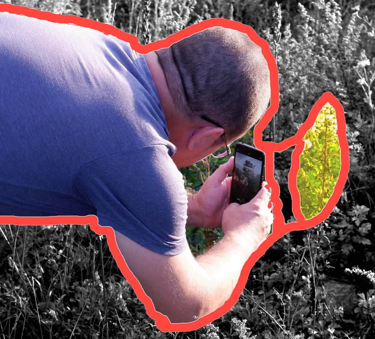 Вован снимает эпическое видео как травинка колышется в лучах заката