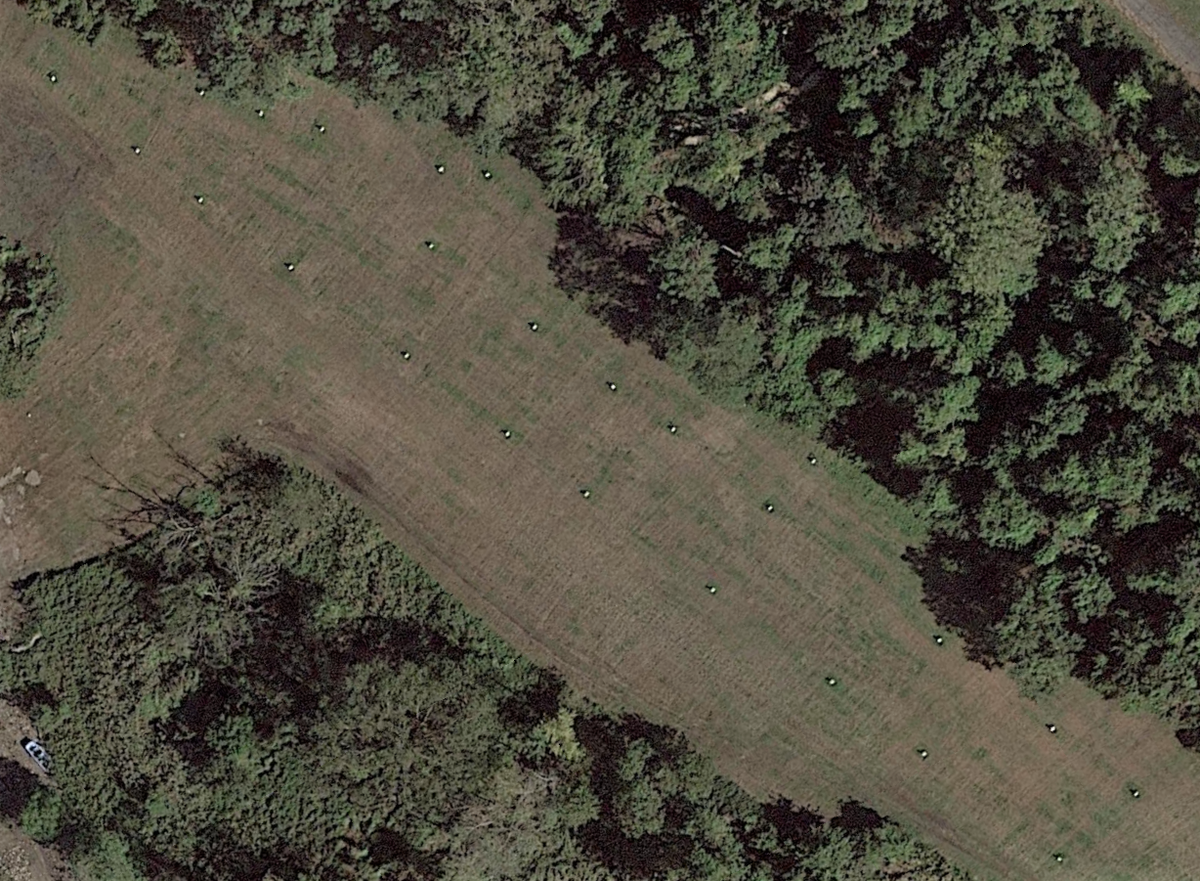 Скрин из Google Earth