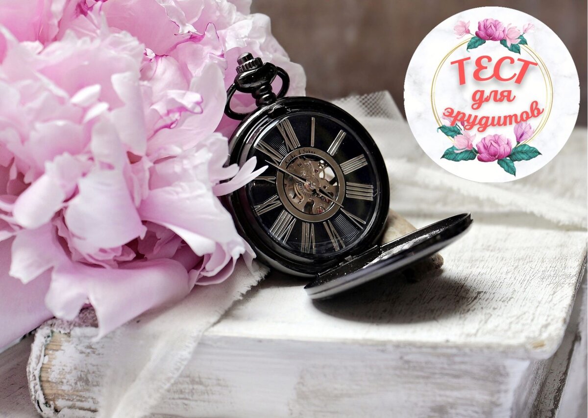 Источник изображения: pixabay.com, дизайн автора публикации