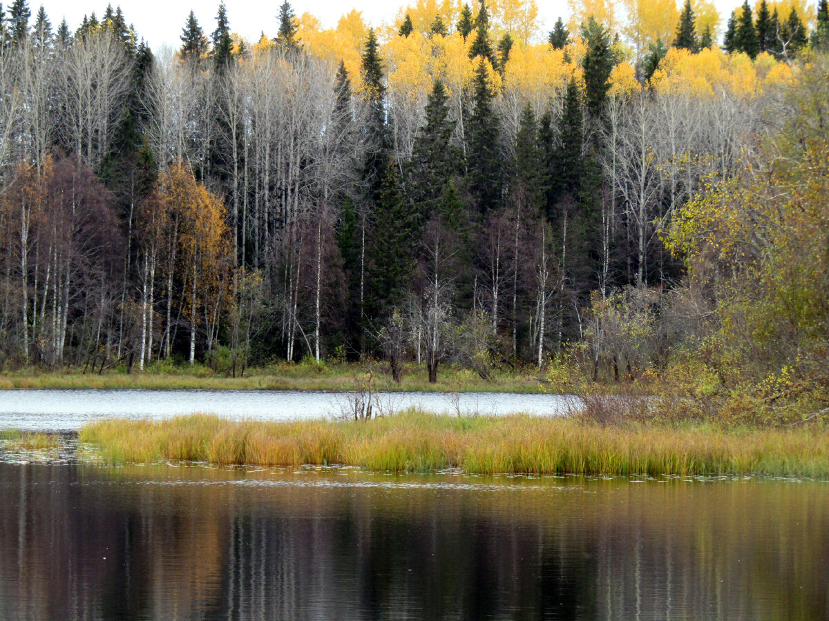 Озеро. Октябрь