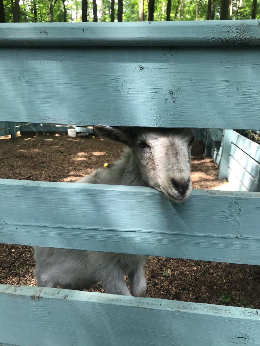 "Ну вот видишь!"