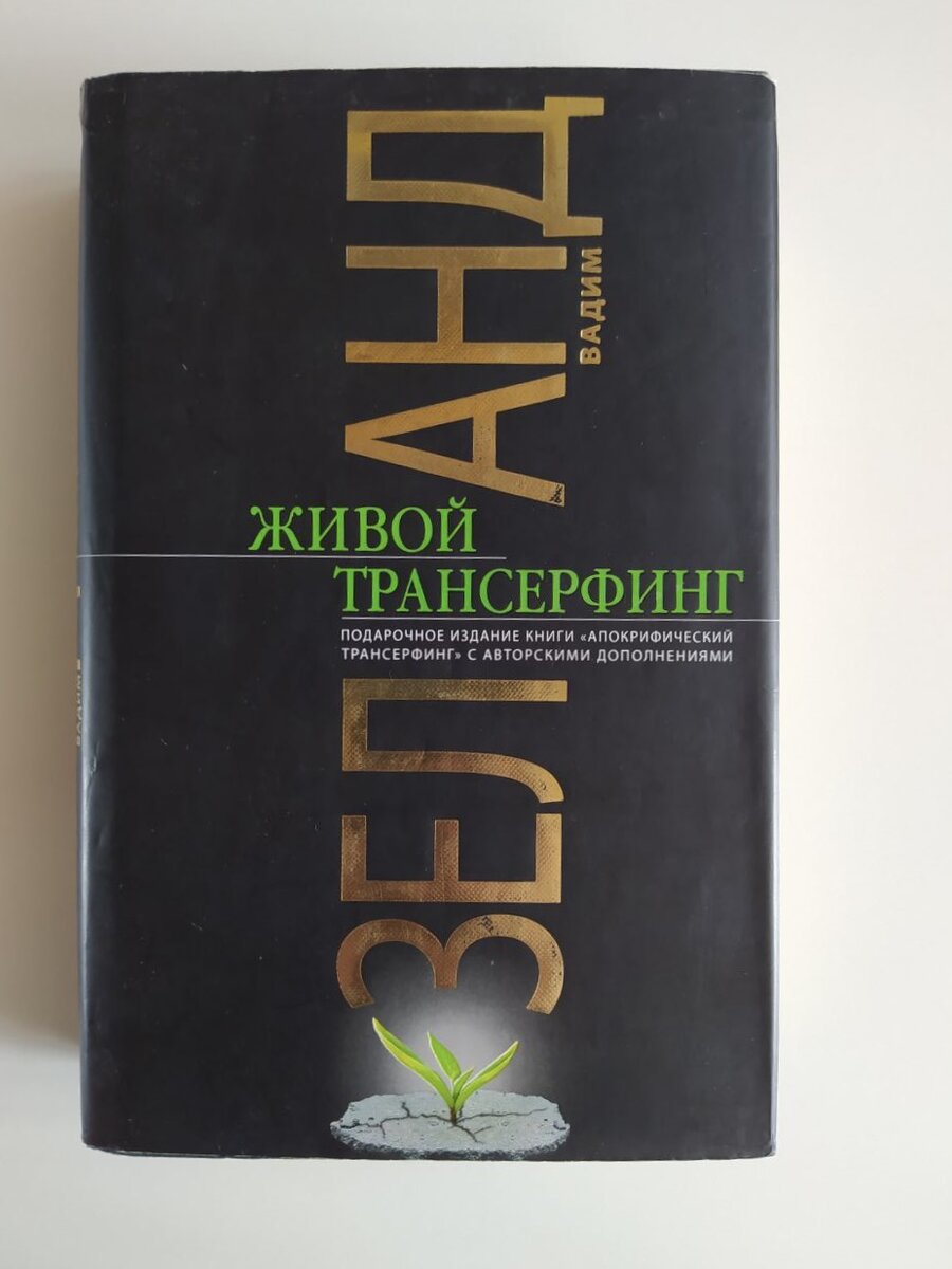 Стоит ли читать книги Вадима Зеланда. Что это мне дало | Влюблена в природу  и в книги | Нурсиля Абдуллина | Дзен