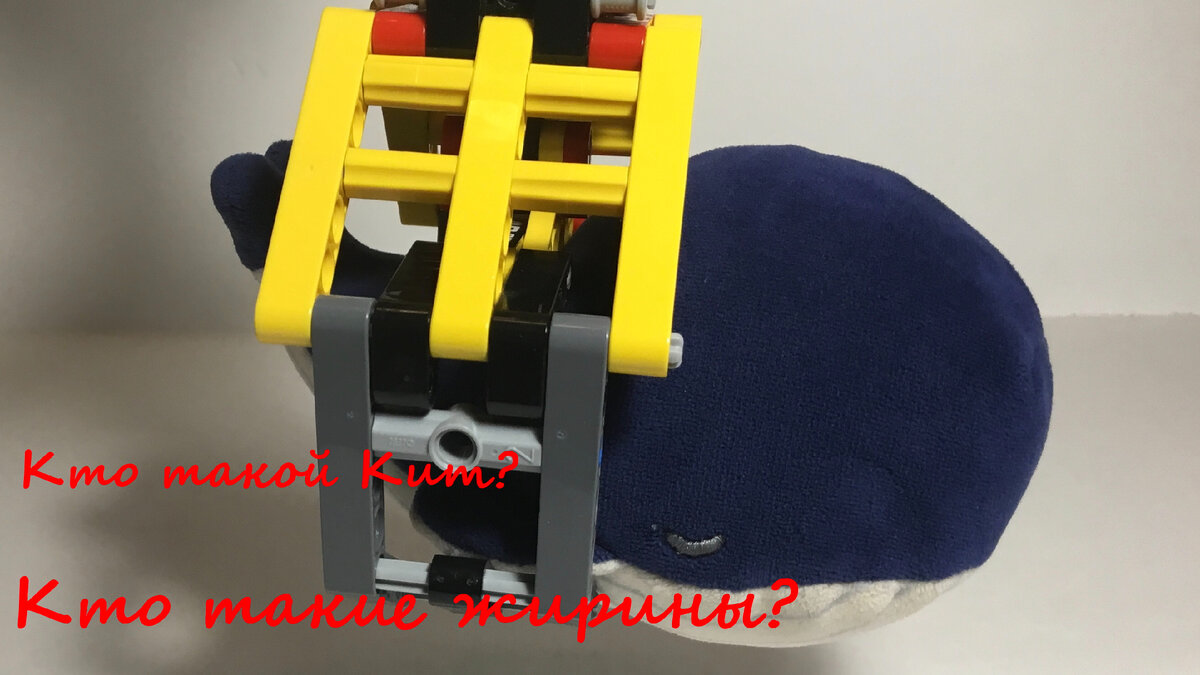 На фото Кит - жирина, которую я наиболее часто показываю в своих видео.