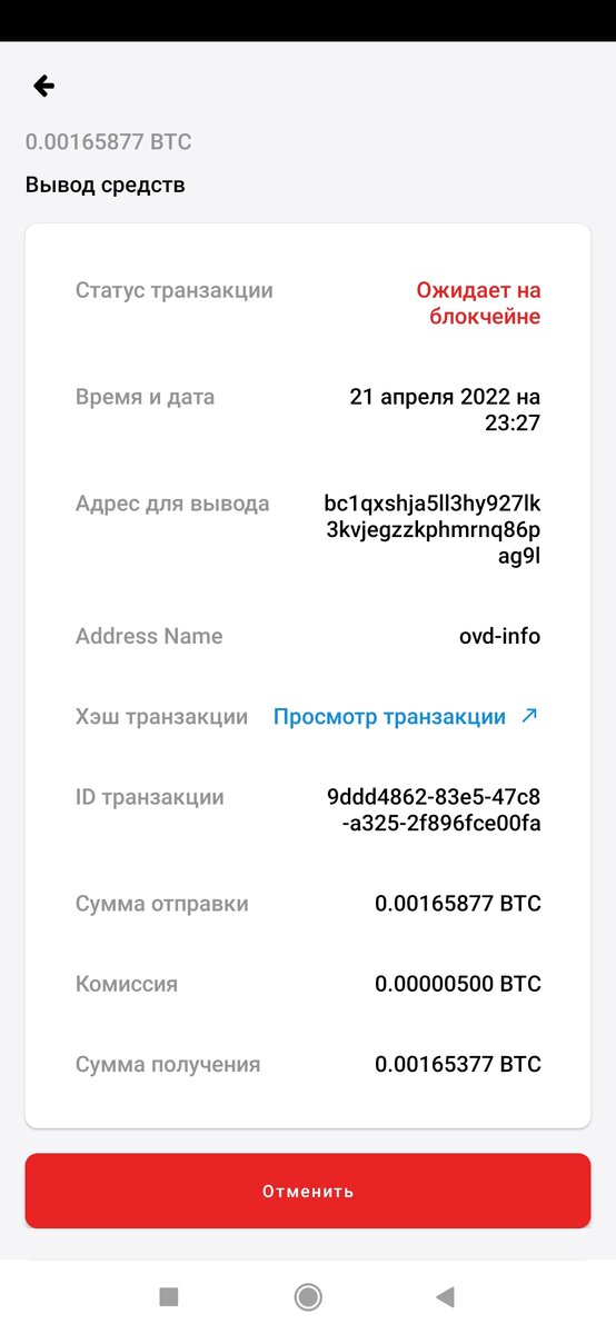 Благотворительность, почему это важно, благотворительность. Благотворительность, почему это важно, благотворительность.