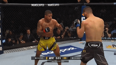 Одно из падений Хамзата